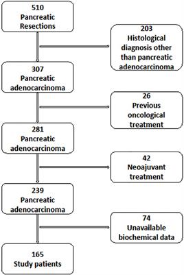 CA19.9 Serum Level Predicts Lymph-Nodes Status in Resectable Pancreatic Ductal Adenocarcinoma: A Retrospective Single-Center Analysis